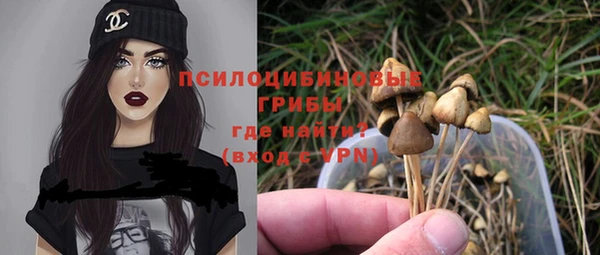 дживик Зерноград