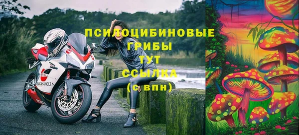 метадон Зеленодольск
