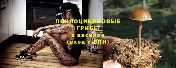дживик Зерноград